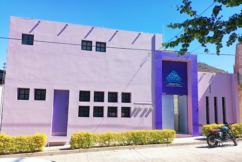 Hospital Veterinario Reforma