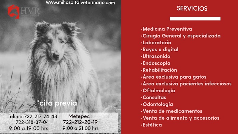 Hospital Veterinario Reynoso