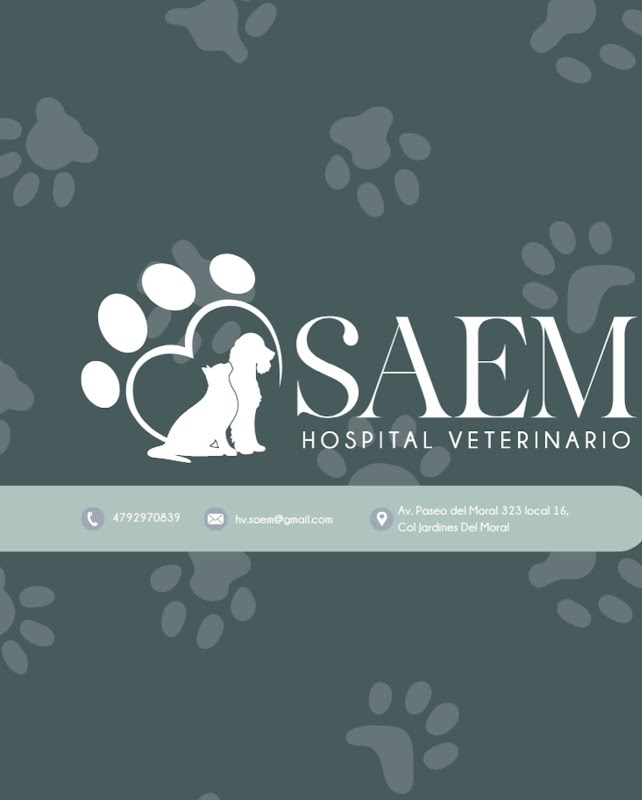 Hospital Veterinario SAEM