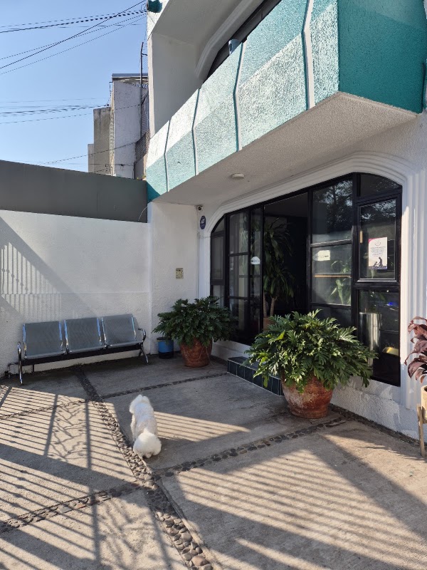 Hospital Veterinario San Javier