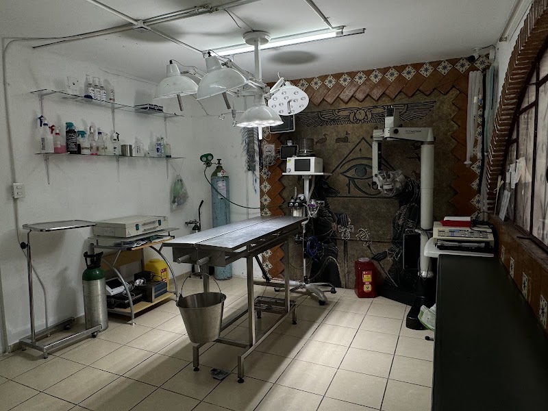 Hospital Veterinario: Unidad de Pequeñas Especies y Fauna (UPEF)