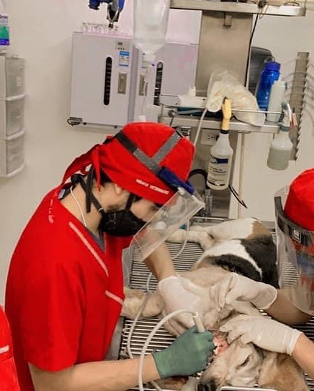 Hospital Veterinario Unión La colina