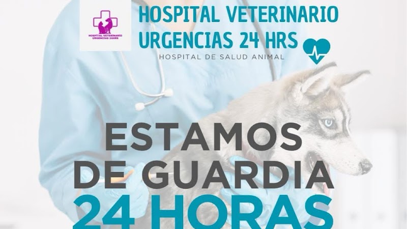 Hospital veterinario urgencias 24hrs