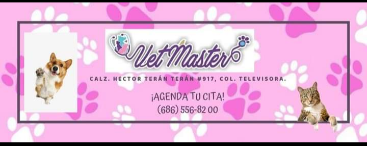 Hospital Veterinario VetMaster
