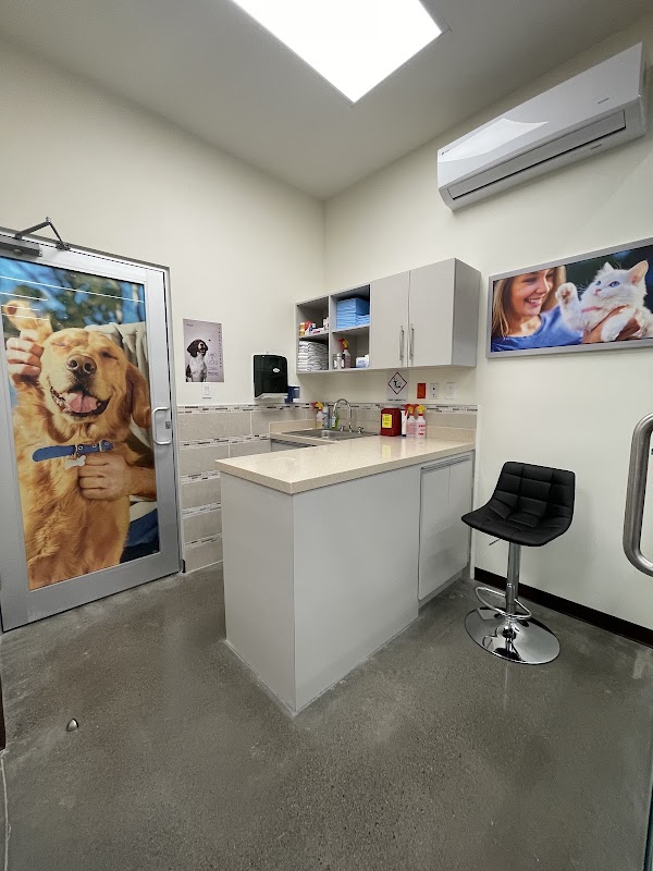 Hospital Veterinario VETPETS