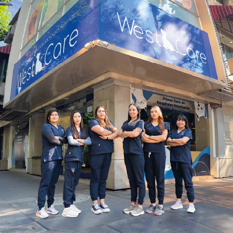 Hospital Veterinario WestCare Polanco