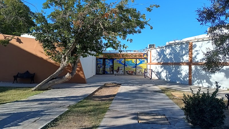 Hospital Veterinario