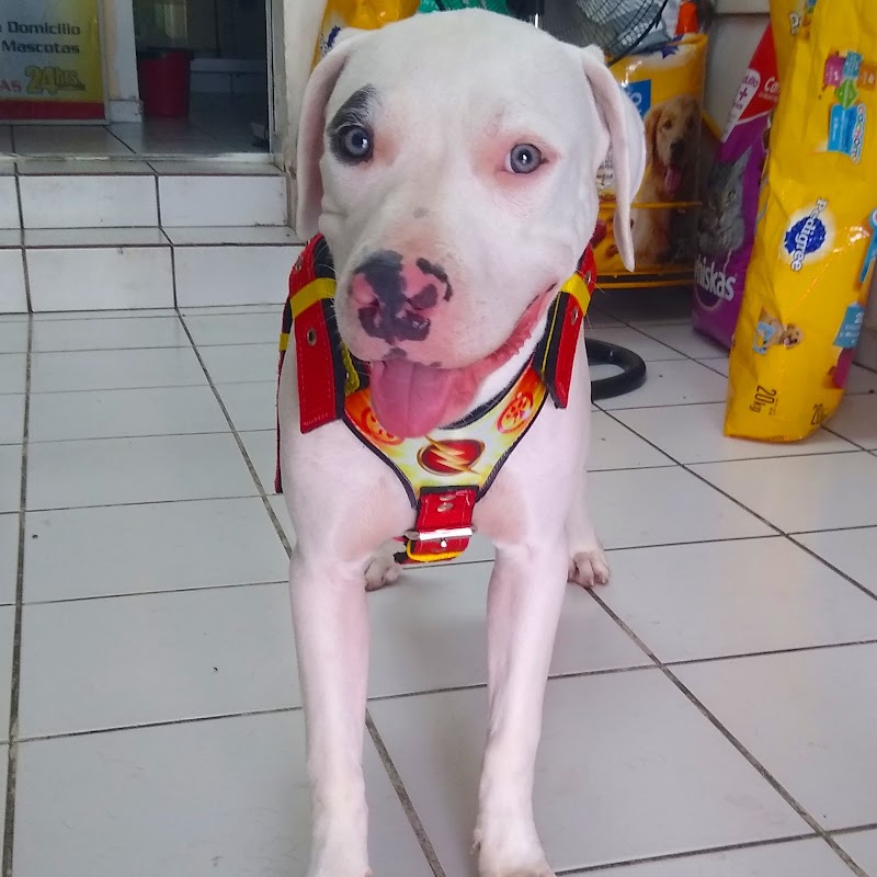 Hospital y Clinica Veterinaria Del Noroeste