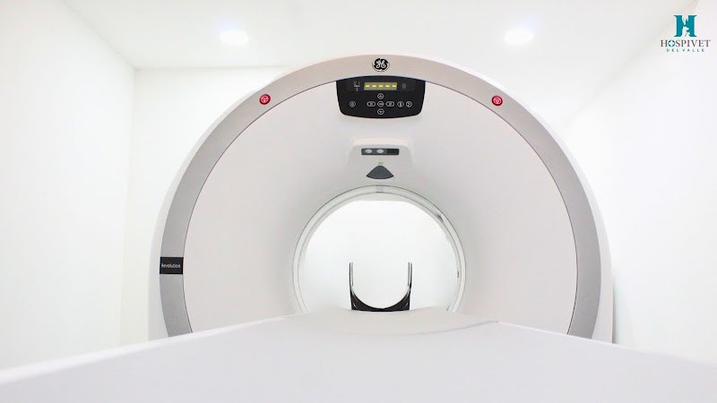 HospiVet del Valle 24 hrs, Urgencias y Tomografía