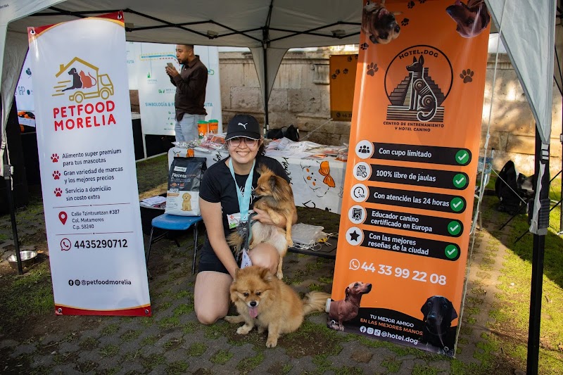 Hotel.dog — Etología clínica y conducta animal en Morelia