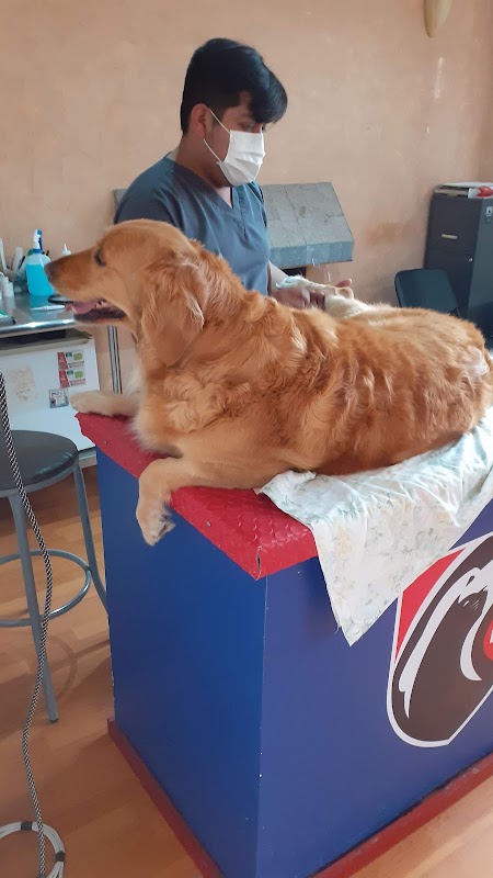 Invetec Veterinarios