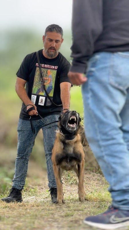 K9-Retif