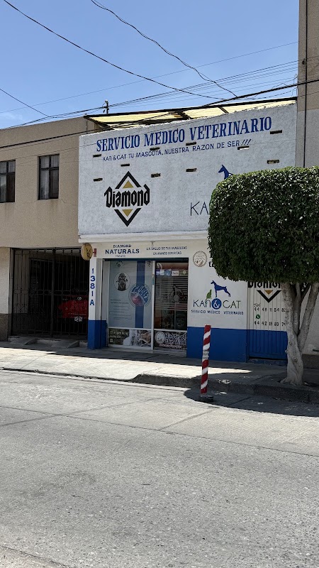 Kan & Cat - Servicio Médico Veterinario