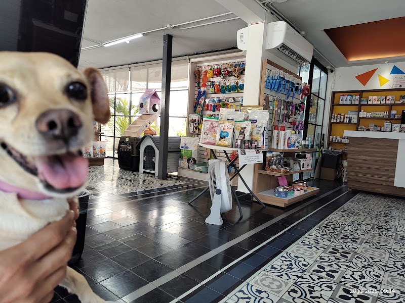 Kiumo Hospital Veterinario