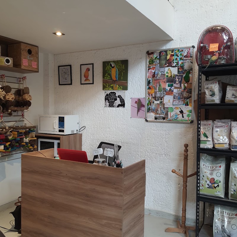 Laila Veterinaria Aves Querétaro (Previa cita por WhatsApp)
