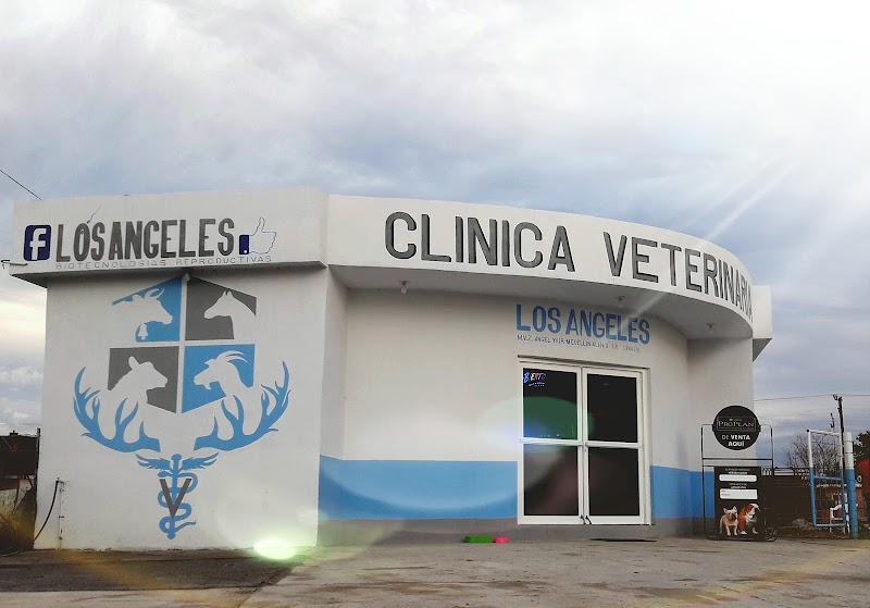 Los Angeles Biotecnologias Reproductivas