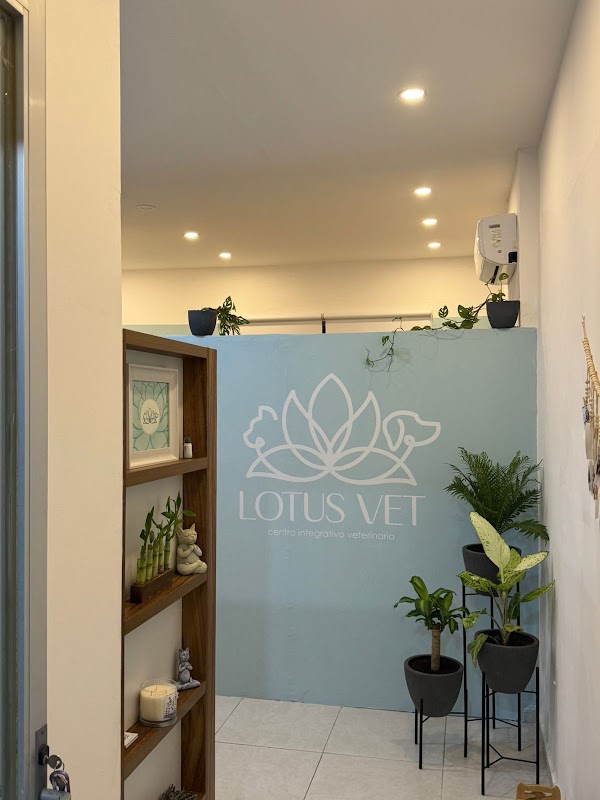 Lotus vet centro Integrativo veterinario