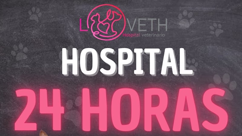 Loveth Hospital Veterinario