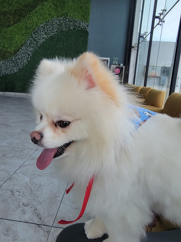 LUCAN Clínica Veterinaria
