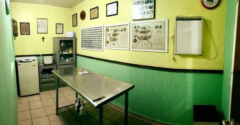 Luceca's Veterinaria