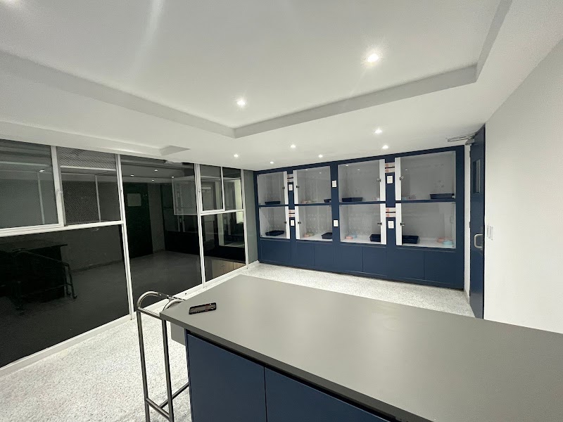 Marlovet Gatos Hospital Veterinario