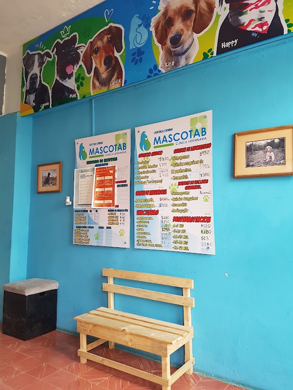 MASCOTAB CLINICA VETERINARIA