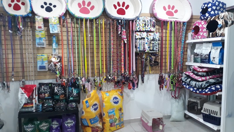 Mascotas Dog's