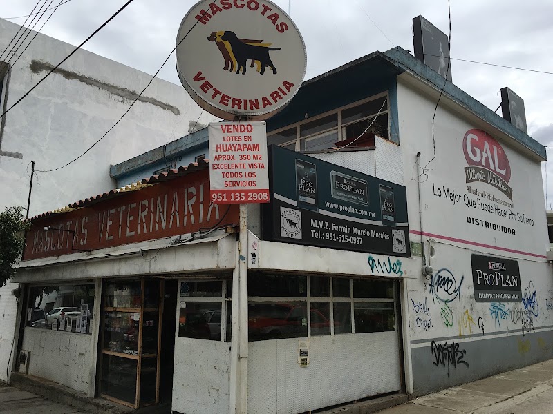 Mascotas Veterinaria Oaxaca