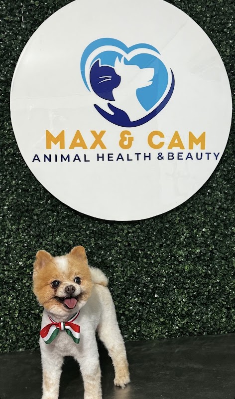 Max & Cam — Etología clínica y conducta animal en Tampico