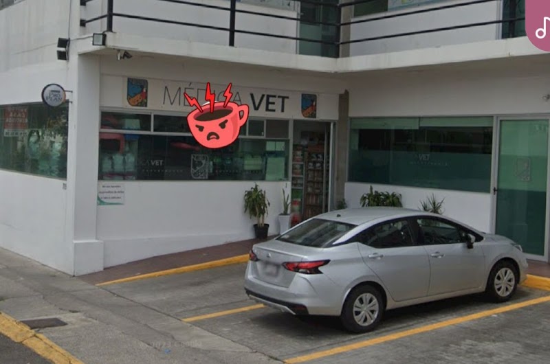 Médica Vet