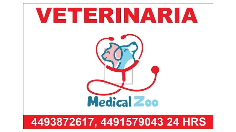 Medical Zoo