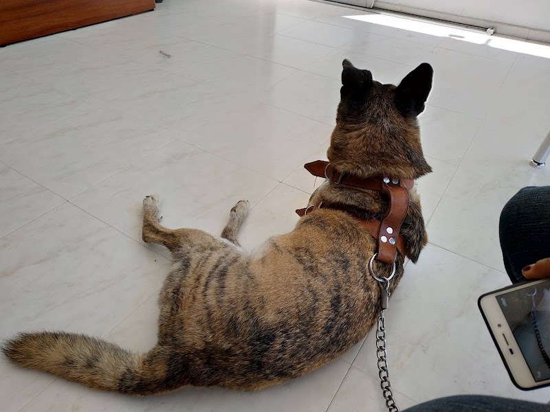 MedicalVet Clínica Veterinaria