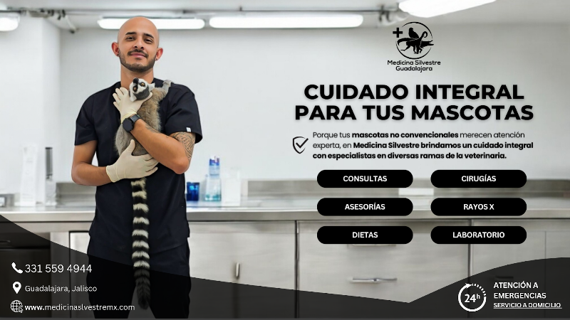 Medicina silvestre Guadalajara