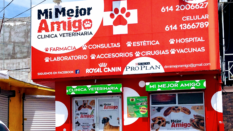 Mi Mejor Amigo Clínica Veterinaria