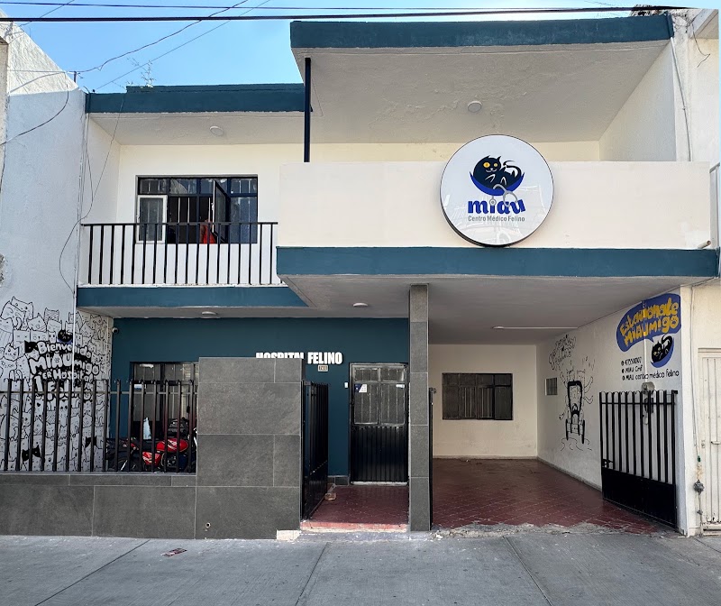 Miau centro médico felino