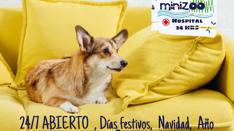Minizoo HOSPITAL VETERINARIO 24 HORAS