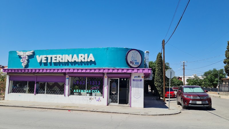 My Vet Animal Care