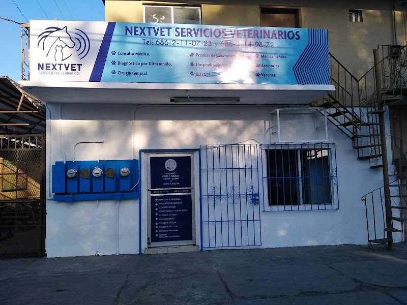 NEXTVET SERVICOS VETERINARIOS