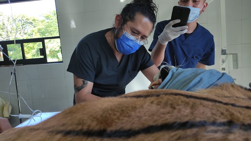 Odontología Veterinaria D' León