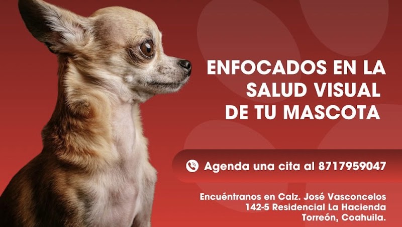 OFTALMO VET CARE Oftalmología Veterinaria