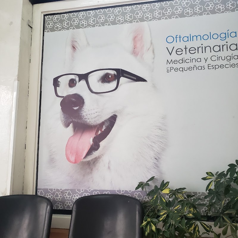 OFTALMOLOGO VETERINARIO Dr. Sergio Rodríguez Bazán