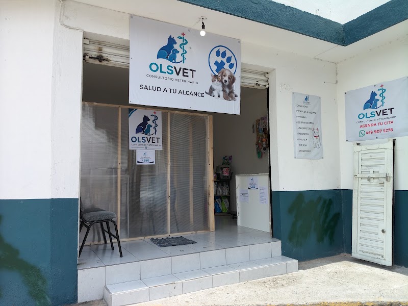 OLSVET Consultorio Veterinario