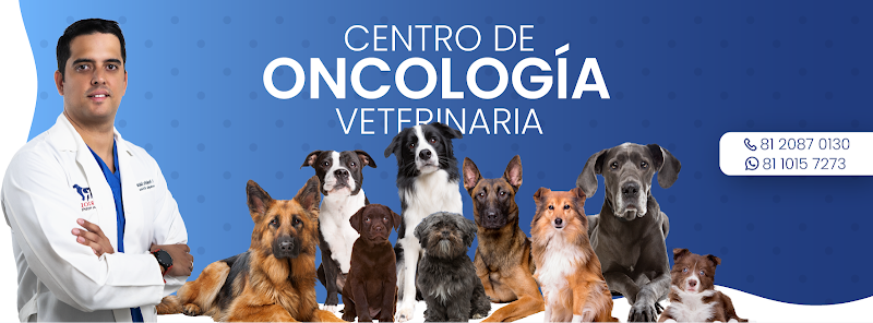 Oncólogo Veterinario en Monterrey