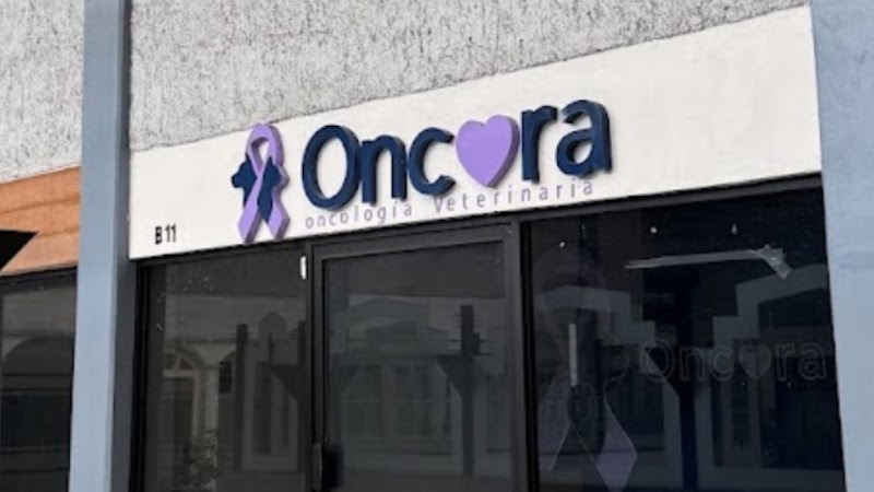 Oncora oncología veterinaria — Oncología veterinaria en Guadalajara