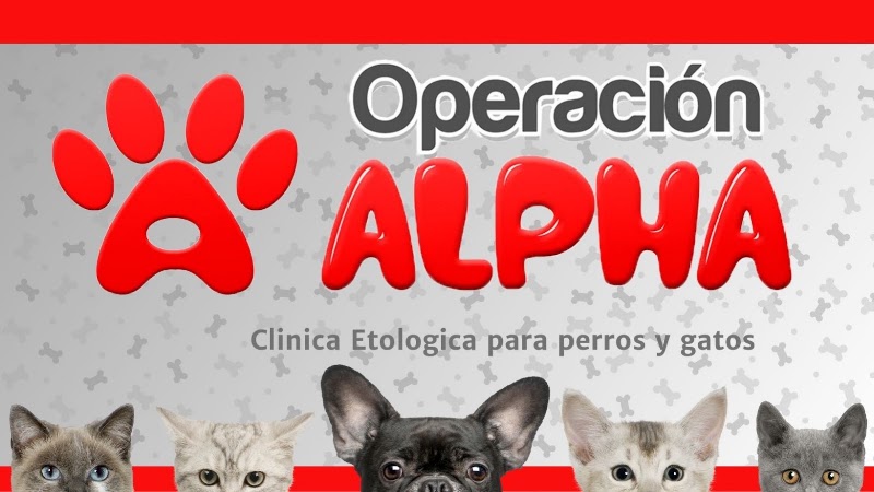 Operacion Alpha