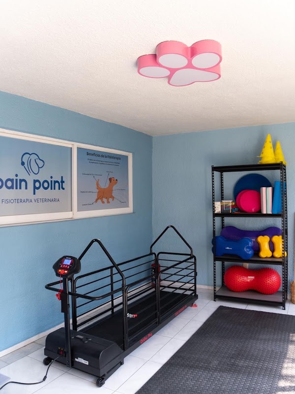 Pain Point Fisioterapia Veterinaria