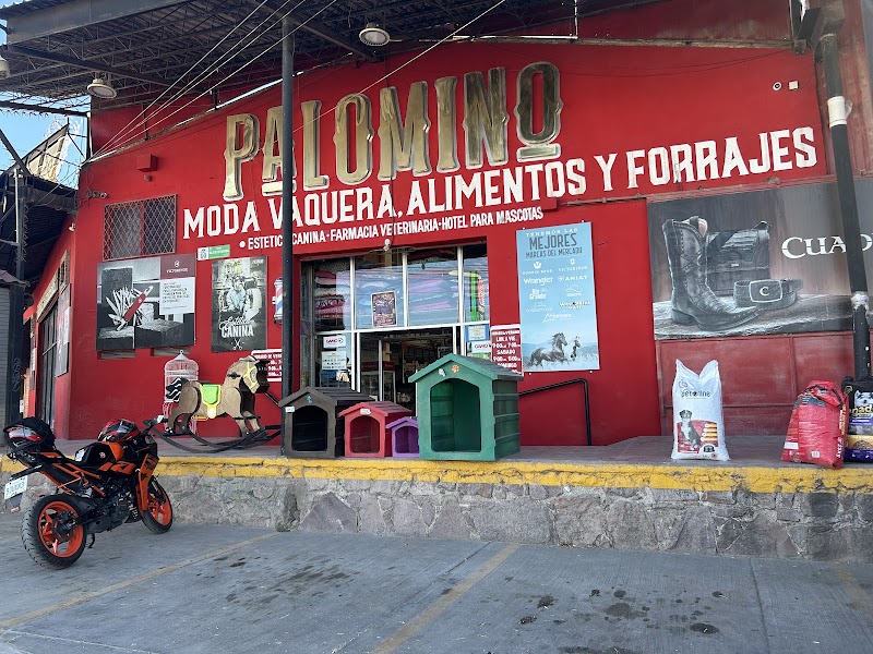 Palomino