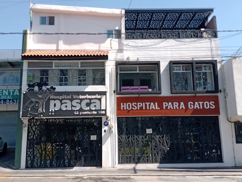 Pascal Hospital Veterinario Y Estética Canina