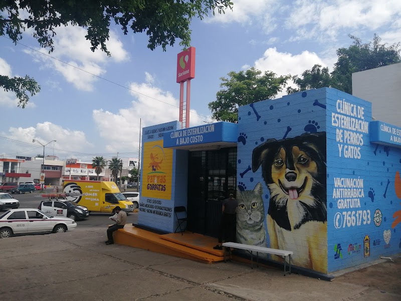 Patitas y Garritas