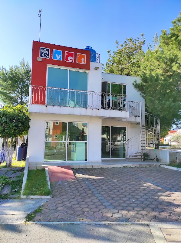 Pauvet - Cardiología y Cirugía Veterinaria